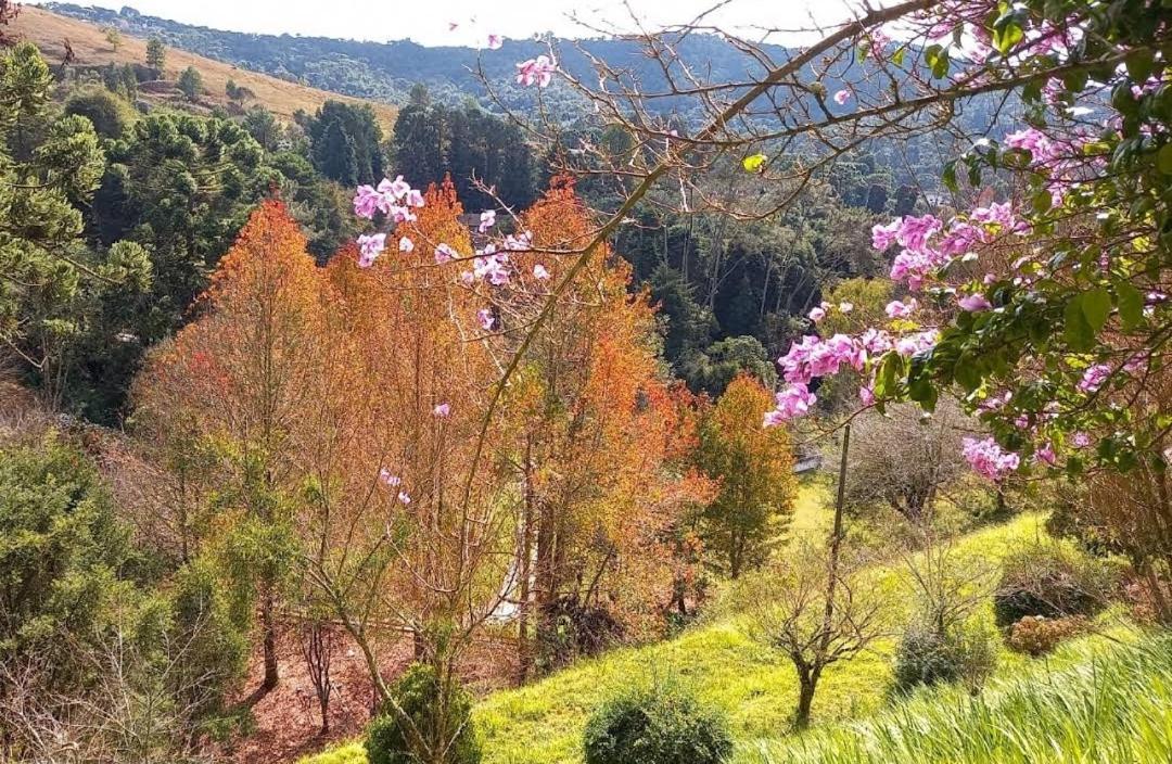 Colonia Saa Hotel Campos do Jordão Екстериор снимка